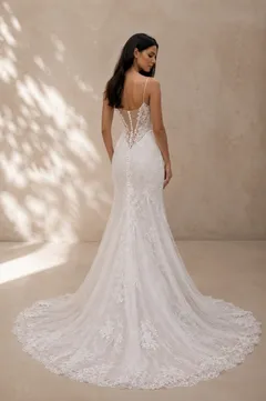 ESME view 2